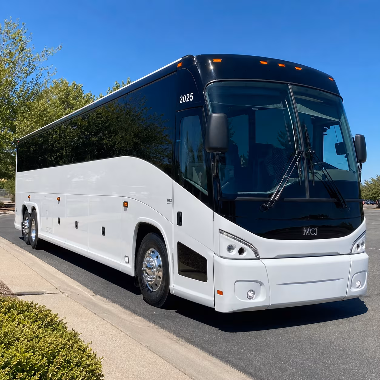 bus rentals for henderson congregation day trips to lake mead and valley of fire